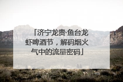 济宁龙贵·鱼台龙虾啤酒节，解码烟火气中的流量密码