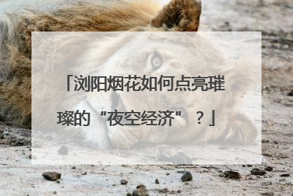 浏阳烟花如何点亮璀璨的“夜空经济”？