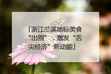 浙江兰溪地标美食“出圈”，激发“舌尖经济”新动能