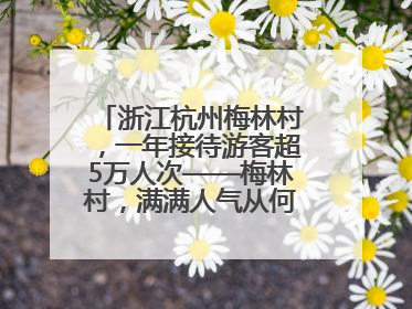 浙江杭州梅林村，一年接待游客超5万人次——梅林村，满满人气从何来（经济新方位·农村消费观察）