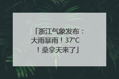 浙江气象发布：大雨暴雨！37℃！桑拿天来了