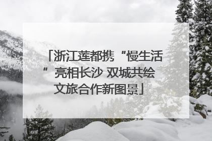 浙江莲都携“慢生活”亮相长沙 双城共绘文旅合作新图景