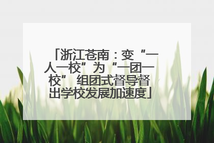 浙江苍南：变“一人一校”为“一团一校” 组团式督导督出学校发展加速度