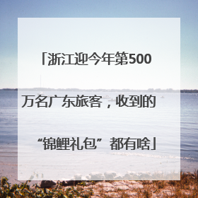浙江迎今年第500万名广东旅客，收到的“锦鲤礼包”都有啥