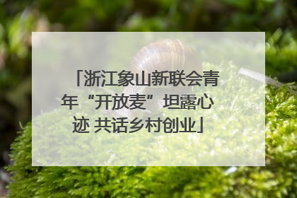 浙江象山新联会青年“开放麦”坦露心迹 共话乡村创业