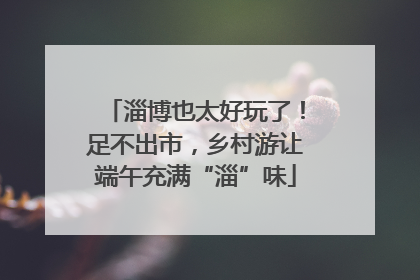淄博也太好玩了！足不出市，乡村游让端午充满“淄”味