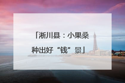 淅川县：小果桑种出好“钱”景