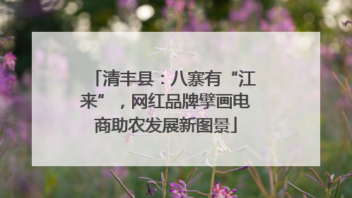 清丰县：八寨有“江来”，网红品牌擘画电商助农发展新图景