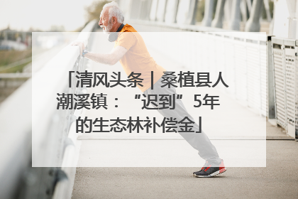 清风头条｜桑植县人潮溪镇：“迟到”5年的生态林补偿金