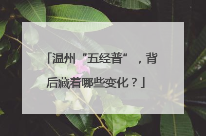 温州“五经普”，背后藏着哪些变化？