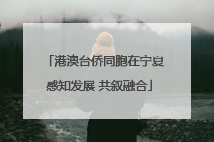 港澳台侨同胞在宁夏感知发展 共叙融合