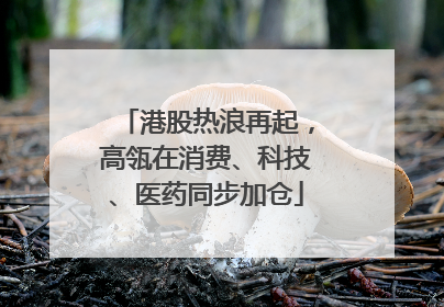 港股热浪再起，高瓴在消费、科技、医药同步加仓