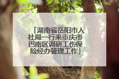 湖南省岳阳市人社局一行来重庆市巴南区调研工伤保险经办管理工作