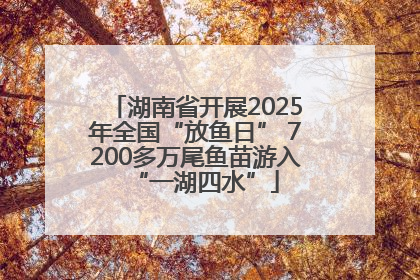 湖南省开展2025年全国“放鱼日” 7200多万尾鱼苗游入“一湖四水”