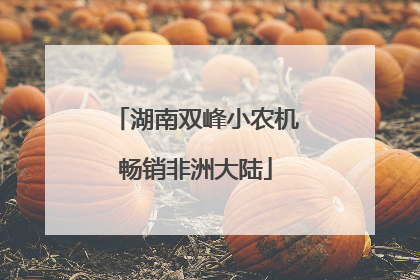 湖南双峰小农机畅销非洲大陆