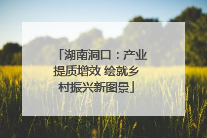 湖南洞口：产业提质增效 绘就乡村振兴新图景