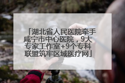 湖北省人民医院牵手咸宁市中心医院，9大专家工作室+9个专科联盟筑牢区域医疗网