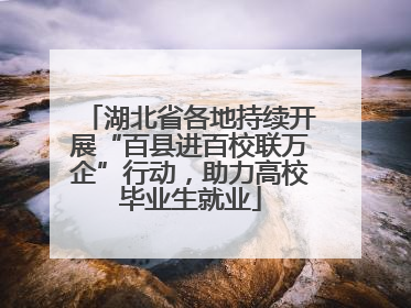湖北省各地持续开展“百县进百校联万企”行动，助力高校毕业生就业