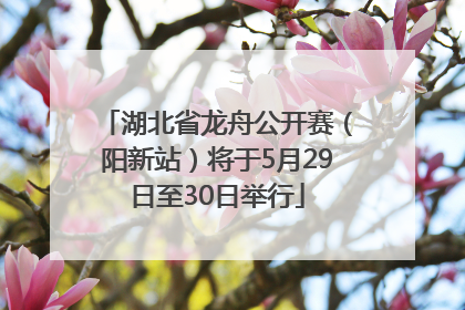 湖北省龙舟公开赛（阳新站）将于5月29日至30日举行