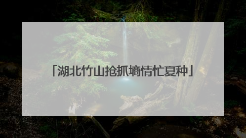 湖北竹山抢抓墒情忙夏种
