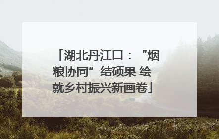 湖北丹江口：“烟粮协同”结硕果 绘就乡村振兴新画卷