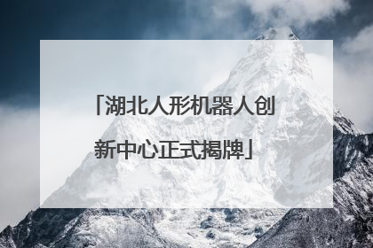 湖北人形机器人创新中心正式揭牌