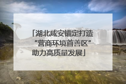 湖北咸安锚定打造“营商环境首善区”助力高质量发展