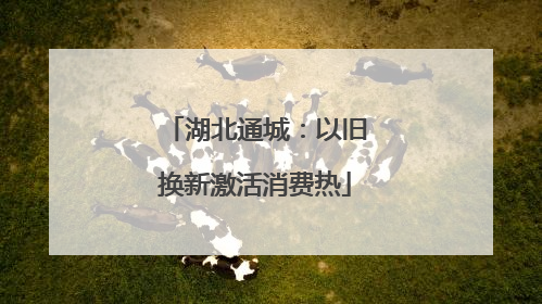 湖北通城：以旧换新激活消费热