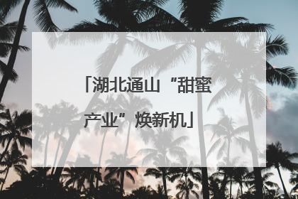湖北通山“甜蜜产业”焕新机