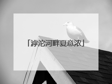 滹沱河畔夏意浓