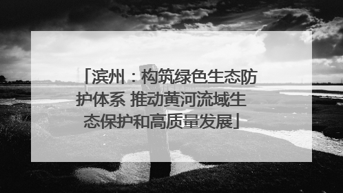 滨州：构筑绿色生态防护体系 推动黄河流域生态保护和高质量发展
