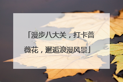 漫步八大关，打卡蔷薇花，邂逅浪漫风景