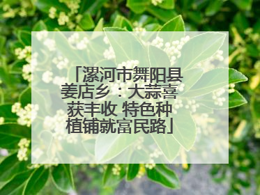 漯河市舞阳县姜店乡：大蒜喜获丰收 特色种植铺就富民路