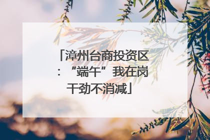 漳州台商投资区：“端午”我在岗 干劲不消减