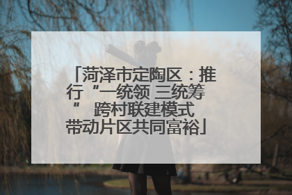 菏泽市定陶区：推行“一统领 三统筹” 跨村联建模式 带动片区共同富裕