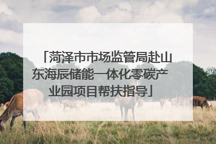 菏泽市市场监管局赴山东海辰储能一体化零碳产业园项目帮扶指导