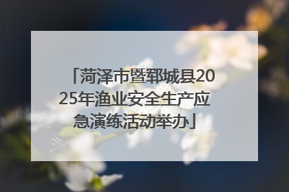 菏泽市暨郓城县2025年渔业安全生产应急演练活动举办