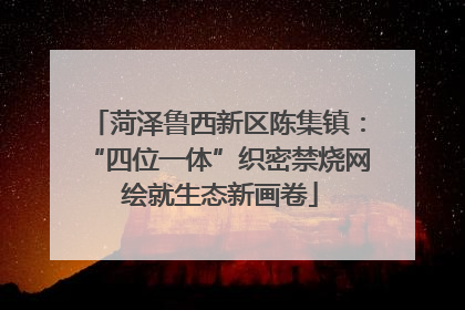 菏泽鲁西新区陈集镇：“四位一体”织密禁烧网 绘就生态新画卷