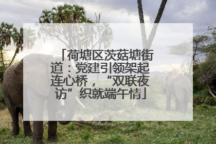 荷塘区茨菇塘街道：党建引领架起连心桥，“双联夜访”织就端午情