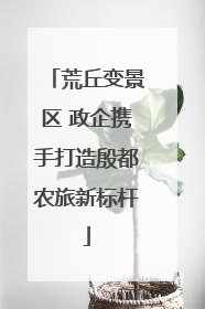 荒丘变景区 政企携手打造殷都农旅新标杆