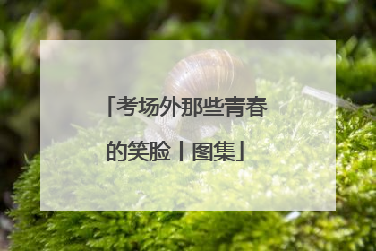 考场外那些青春的笑脸丨图集