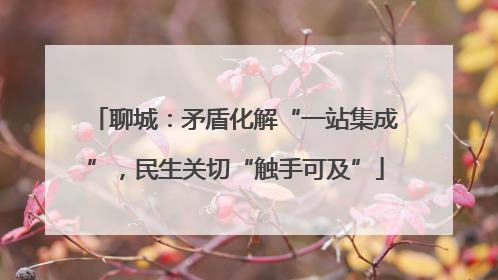 聊城：矛盾化解“一站集成”，民生关切“触手可及”
