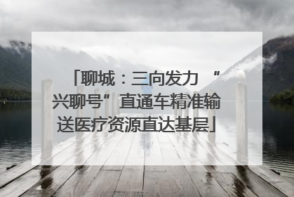 聊城：三向发力 “兴聊号”直通车精准输送医疗资源直达基层