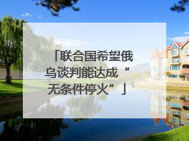联合国希望俄乌谈判能达成“无条件停火”