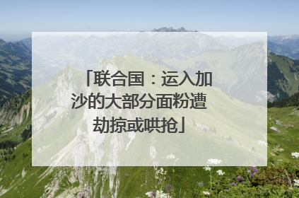 联合国：运入加沙的大部分面粉遭劫掠或哄抢