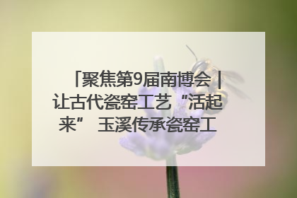 聚焦第9届南博会｜让古代瓷窑工艺“活起来” 玉溪传承瓷窑工艺将出展南博会