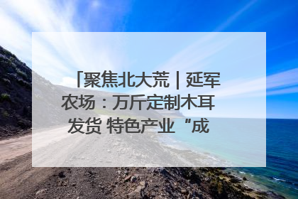 聚焦北大荒｜延军农场：万斤定制木耳发货 特色产业“成绩单”亮眼