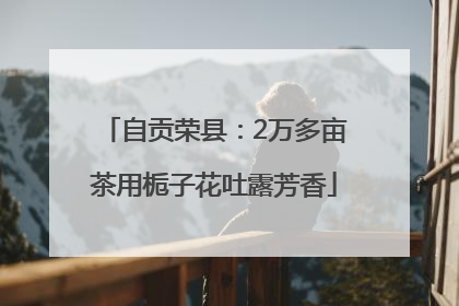 自贡荣县：2万多亩茶用栀子花吐露芳香