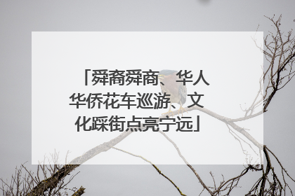 舜裔舜商、华人华侨花车巡游、文化踩街点亮宁远