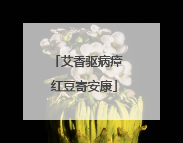 艾香驱病瘴 红豆寄安康